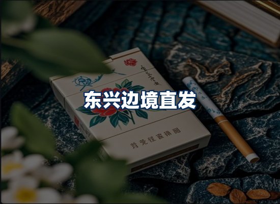 专业团队办公环境